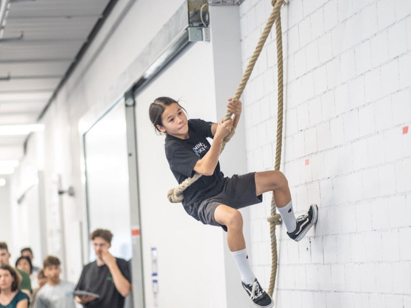 Anschlusskurse Herbst